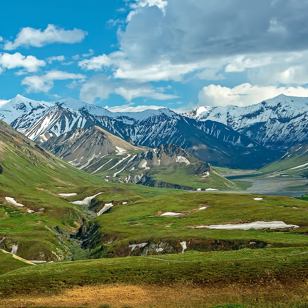 アメリカ合衆国議会議事堂