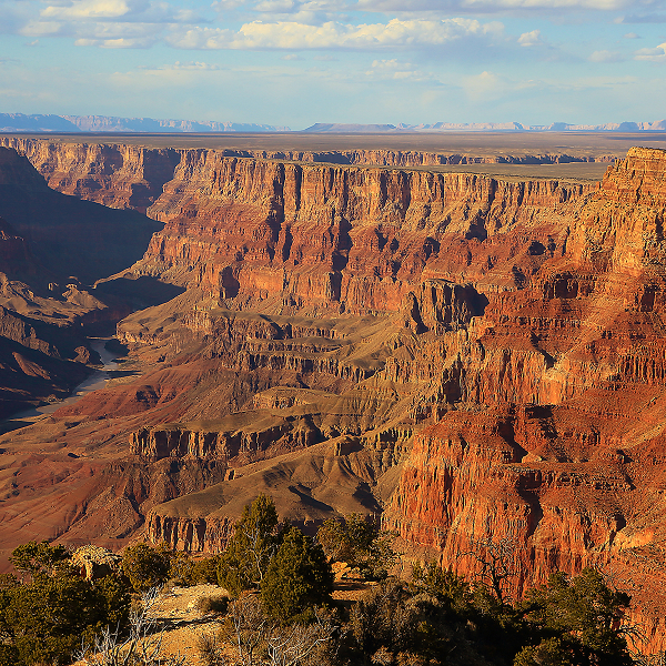 ドジャースタジアム