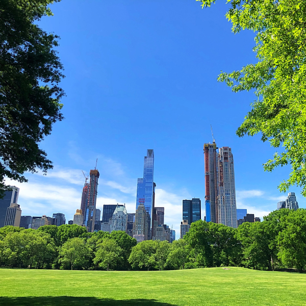 セントラルパーク