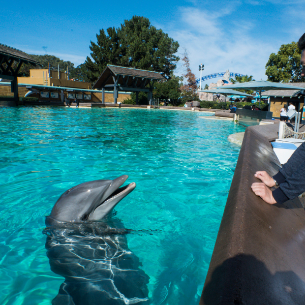 シーワールド・サンディエゴ