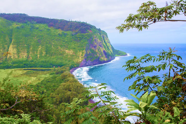海外航空券 + ホテル予約