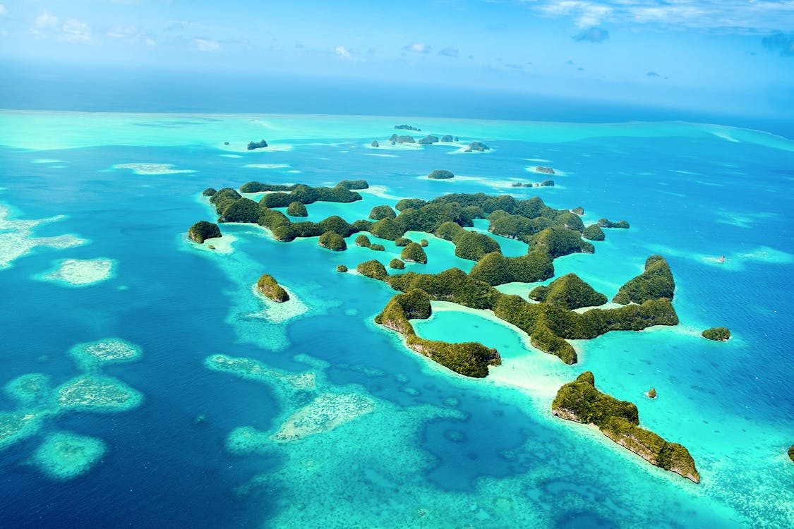 海外航空券 + ホテル予約