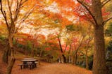 心落ち着く紅葉と季節のグルメを堪能できる三重の旅