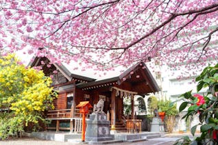 レトロモダンな街・蔵前で、春の訪れを感じるお散歩旅