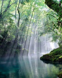 水と緑にあふれた熊本で、ひんやり気持ちいい夏旅