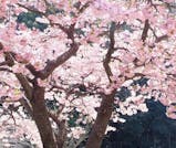 藤・桜・イチゴが彩る、北九州「春色」の旅