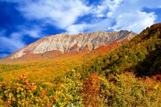 大自然を肌で感じる！紅葉や温泉を楽しむ秋の鳥取旅