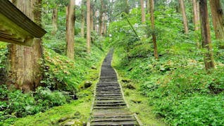 神秘的なパワーが満ちた山形で、生まれ変わりの旅
