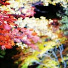 北海道で秋を先取り！層雲峡で紅葉を満喫する旅