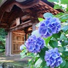 しっとりと雨が降る松江で「茶の湯」の伝統文化を楽しむ旅