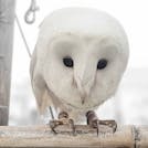 雨が降っても観光を満喫できる大宮・川越を巡る旅