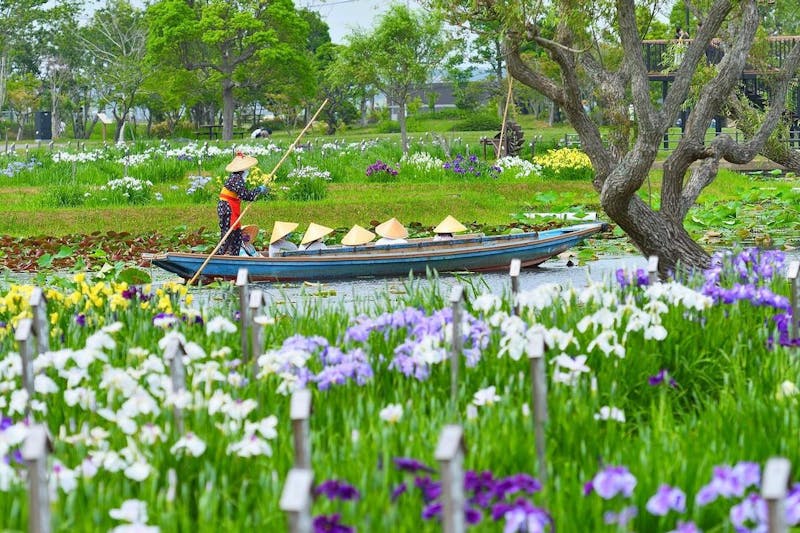 のの★薔薇と紫陽花　最高級綿100%セミダブル　クイーン仕立て直し plan-