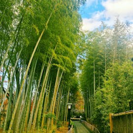 疲れたあなたに。伊豆・修善寺で「なにもしない」旅