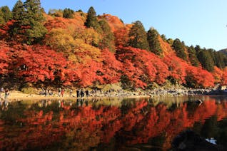 愛知の紅葉名所！鳳来寺山と香嵐渓を一度に巡る欲張り旅