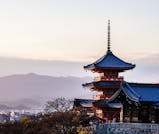 幻想的に照らされた夜桜をながめる、京都おさんぽ旅行