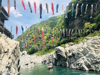 雄大な自然に囲まれた秘境を訪ねる、春の徳島旅行