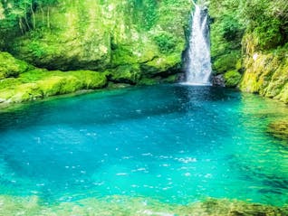 自然豊かな四万十・仁淀川をめぐり高知を満喫する旅