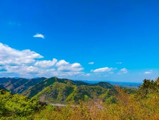 外でのビールが美味しい季節！高尾山で自然と、吉祥寺で猫と触れ合う旅