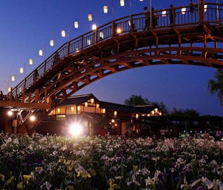 初夏の花「あやめ」「紫陽花」で季節を感じる千葉・茨城旅