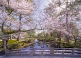 旬のグルメとお花見を楽しむ、春の金沢旅行