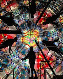 アートが映える佐久島をサイクリング！カメラを持って出かけたい愛知の旅