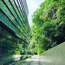 猫の島で何もしなくていい時間を過ごし、東洋のマチュピチュを満喫する夏の愛媛旅