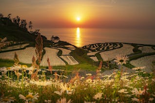 季節限定！夕日に染まる棚田と「3つの体験」を楽しむ能登・輪島旅