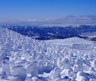 キラキラ輝く樹氷がお出迎え！冬の蔵王で楽しむスキー旅