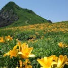 初夏にきらめく絶景を巡る、佐渡島まるごと満喫旅
