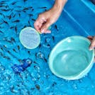 夏の終わりをノスタルジックに過ごす、昭和レトロな奈良旅