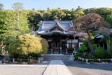山に囲まれた温泉街でのんびり過ごす、伊豆・修善寺の旅