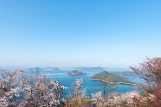 瀬戸内海と桜のハーモニーに魅了される、春の香川旅