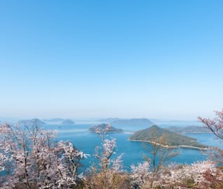 瀬戸内海と桜のハーモニーに魅了される、春の香川旅