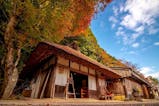 和歌山の紅葉を満喫！自然の美しさに癒される旅