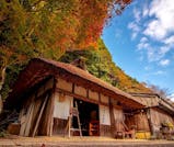 和歌山の紅葉を満喫！自然の美しさに癒される旅