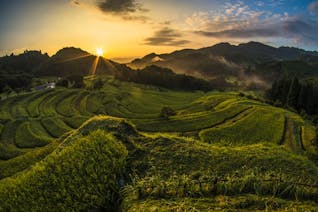 ピクニック気分を味わい、自然を感じる千葉の旅