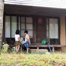 満開のひまわりに元気をもらう！子供と一緒に自然を楽しむ夏の大阪旅