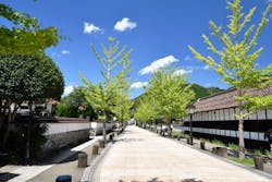 湯田温泉&津和野を巡る、のんびりSL旅