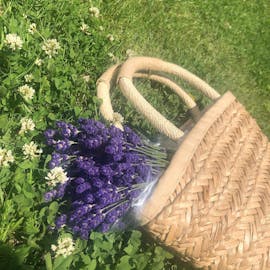 自然豊かな猪苗代を満喫！高原リゾートで過ごす夏旅