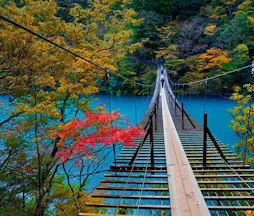 レインボーブリッジ展望台 静岡県 こころから