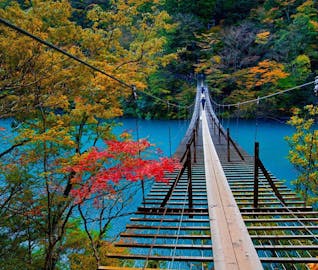SLに乗って、寸又峡へ！紅葉と温泉に癒される旅