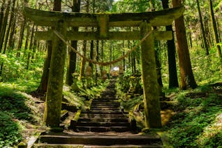 水の生まれる里・南阿蘇で、自然の恵みを感じる旅