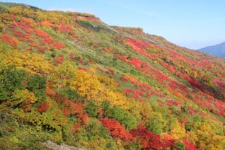 北海道で秋を先取り！層雲峡で紅葉を満喫する旅