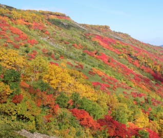 北海道で秋を先取り！層雲峡で紅葉を満喫する旅