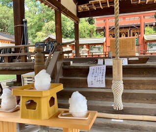 夏本番！かき氷の聖地・奈良で涼を求めるおさんぽ旅