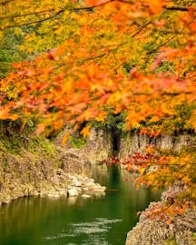 和歌山の紅葉を満喫！自然の美しさに癒される旅