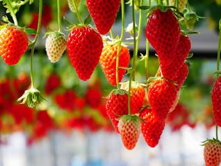 ぽかぽか陽気に誘われて、浜松の絶景と温泉を満喫する旅