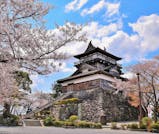 春の陽気に誘われて、雄大な自然と歴史が織りなす絶景を巡る福井旅