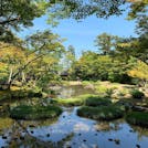 和を感じる 京都で抹茶づくしの旅