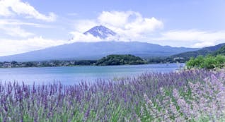 五感で癒される！富士の絶景を望む、初夏の「河口湖」を巡る旅